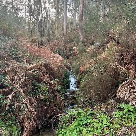 A Casa Tranquila Casa vacanze