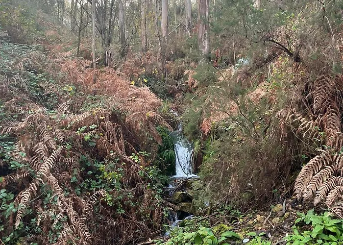 A Casa Tranquila Feriehus